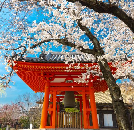 Tour Nhật Bản 7 Ngày 6 Đêm: Khám Phá Văn Hóa Và Nghệ Thuật Sống