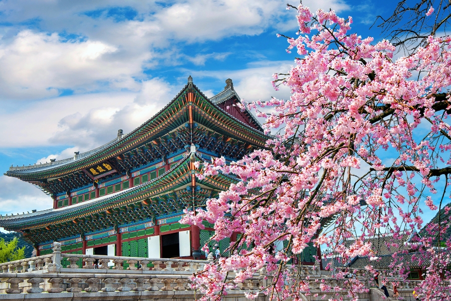 Tour Nhật Bản 7 Ngày 6 Đêm: Khám Phá Văn Hóa Và Nghệ Thuật Sống