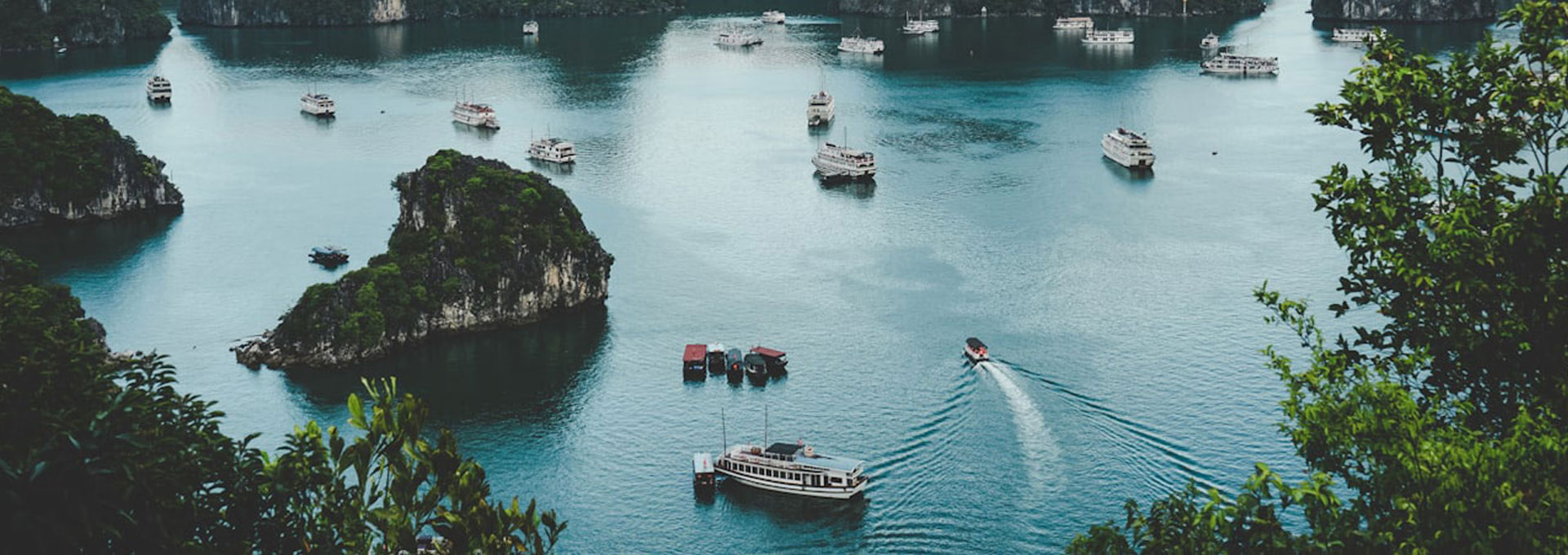 Về Blue Vigor Travel